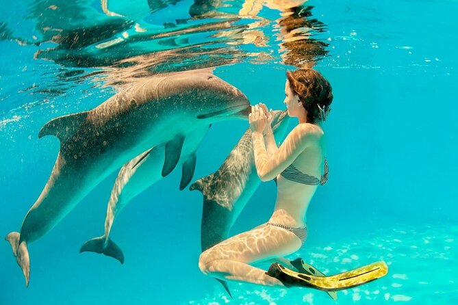 ROYAL Dolphin House & Water Sports Snorkeling Sea Trip - Hurghada - From 8:00 am pickup to the pier: getting on the water fast