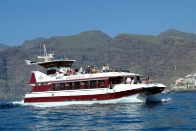 Royal Dolphin Whale watching excursion - Who this tour suits best (and who might want to choose differently)