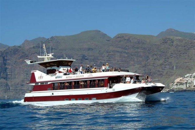 Royal Dolphin Whale watching excursion - Who this tour suits best (and who might want to choose differently)