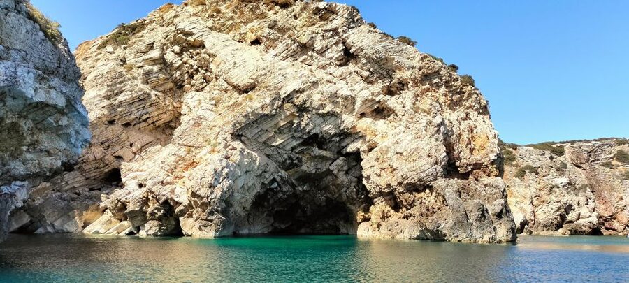 Sagres: Wildlife Tour Dolphins and Caves - On the Water: Dolphin Watching in Costa Vicentina Natural Park