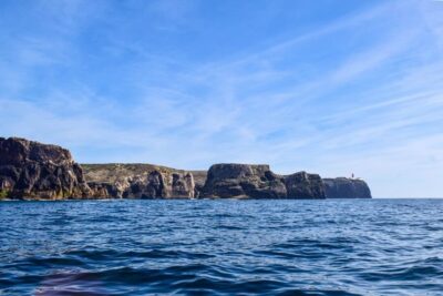 Sagres: Wildlife Tour Dolphins and Caves - Getting to Cape Cruiser at Baleeira Port