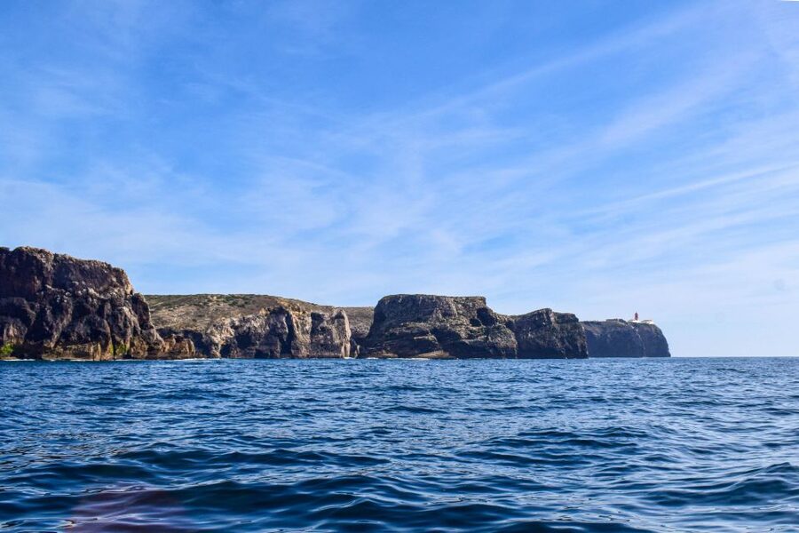 Sagres: Wildlife Tour Dolphins and Caves - Getting to Cape Cruiser at Baleeira Port