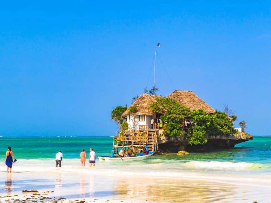 Salaam Cave Tour, Lunch at The Rock, Mnemba Dolphin Tour - Logistics that matter: pickup areas, timing, and what to pack