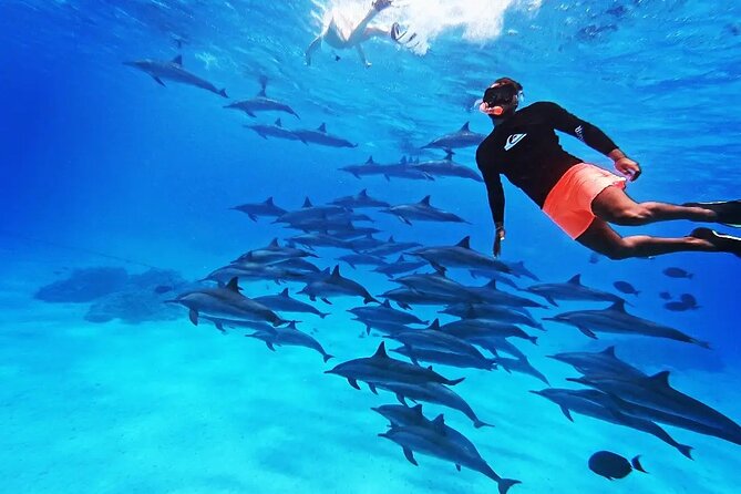Samadai Dolphin House Snorkel Trip - Marsa Alam - Two Snorkel Sessions (~45 Minutes Each): More Chances, Fewer Wasted Moments