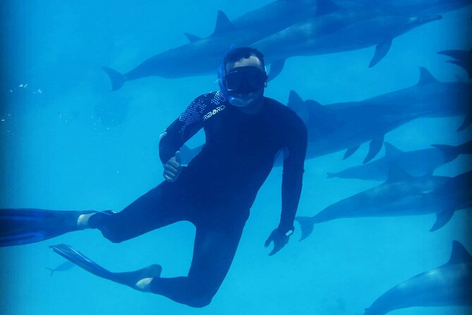 Samadai Dolphin House Snorkel Trip - Marsa Alam - Who This Trip Is Best For