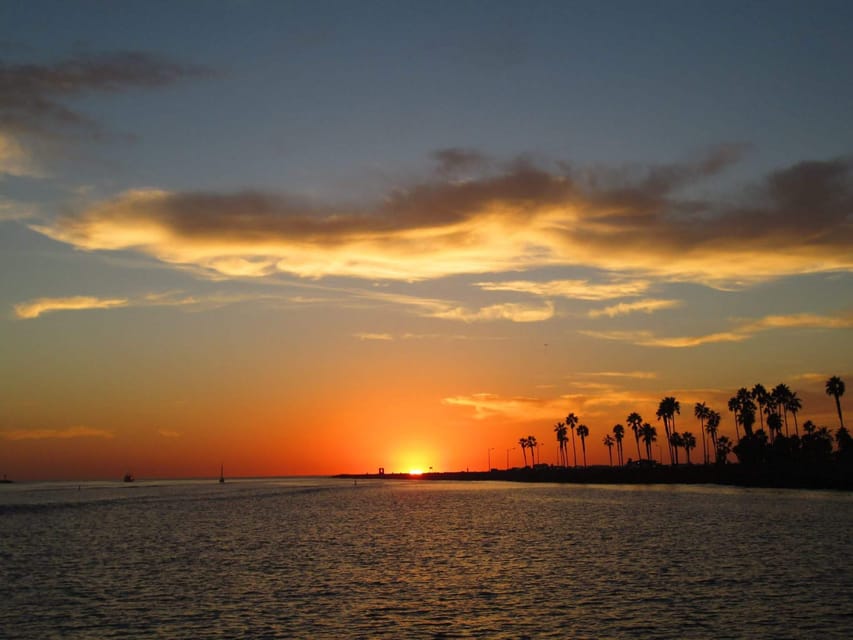 San Diego: Dolphin and Whale-Watching Sunset Cruise - Getting on the water: check-in and timing that keeps things easy