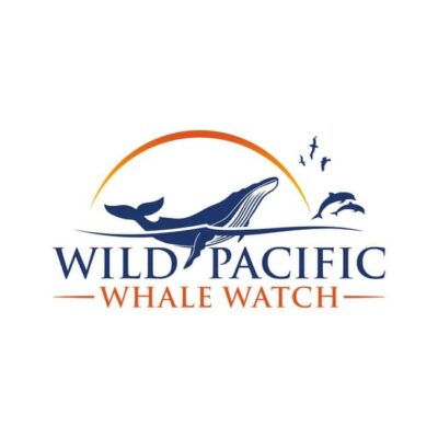 San Diego: Luxury Year-round Whale Watching & Dolphin Tour - What you’re looking for out on the water