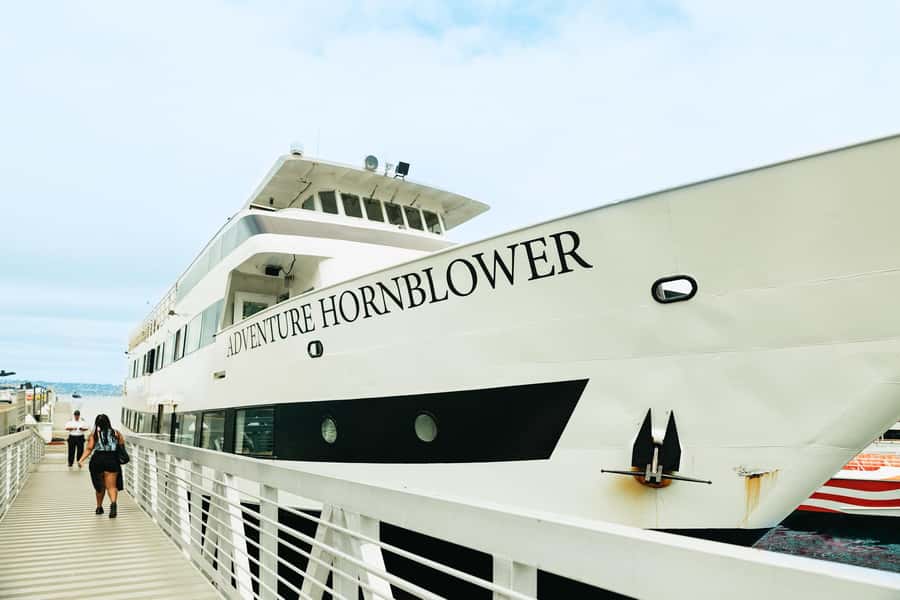 San Diego: Whale and Dolphin Watching Cruise - Should you book this San Diego whale and dolphin cruise?