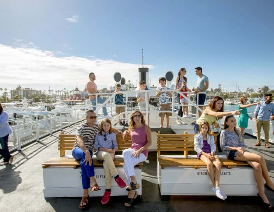 San Diego: Whale and Dolphin Watching Cruise - What you might see: gray, blue, humpback, and a whole cast of dolphins