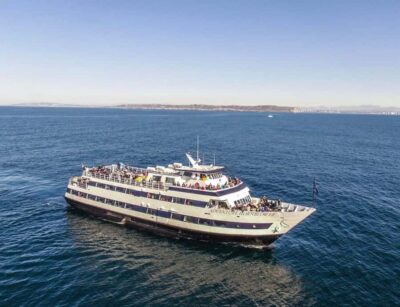 San Diego: Whale and Dolphin Watching Cruise - From Pier 2 to open water: what the 3.5–4 hours really are
