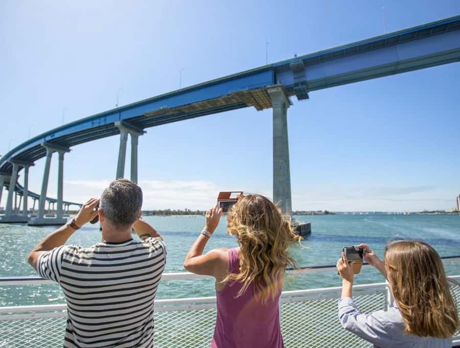 San Diego: Whale and Dolphin Watching Cruise - On-board narration from the Natural History Museum and Capt. Rick’s style