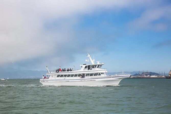 San Diego Whale/Dolphin Watching Cruise Aboard Luxury Vessel - Key things I’d bet on before you go