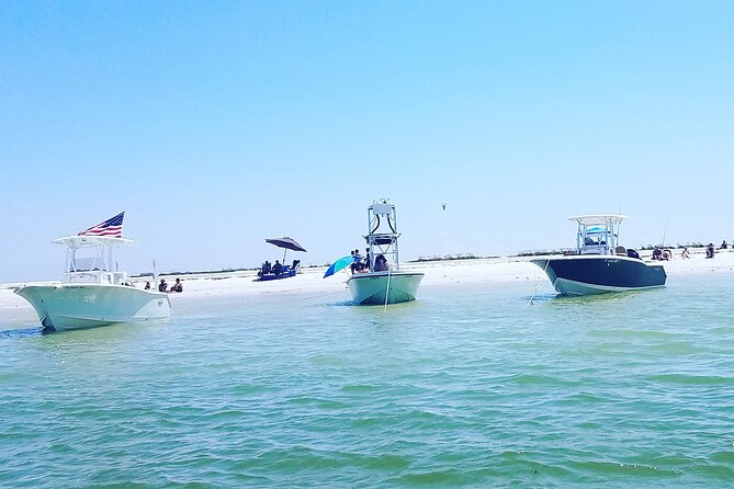 Sandbar, Beach, Dolphin Watching Cruise Sarasota, Florida - Key things I’d plan around