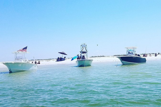Sandbar, Beach, Dolphin Watching Cruise Sarasota, Florida - Intracoastal Cruising: Homes, Mangroves, and Calm-Water Time