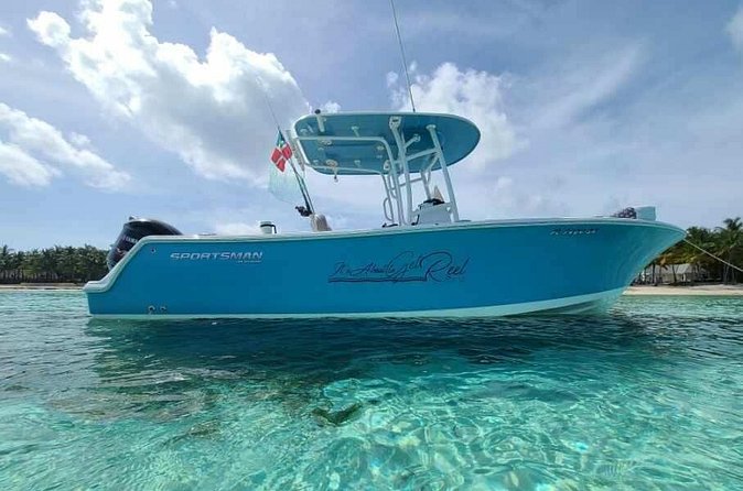 Sandbar, Beach, Dolphin Watching Cruise Sarasota, Florida - Islands and Fort Areas: How the Captain Builds Your Route
