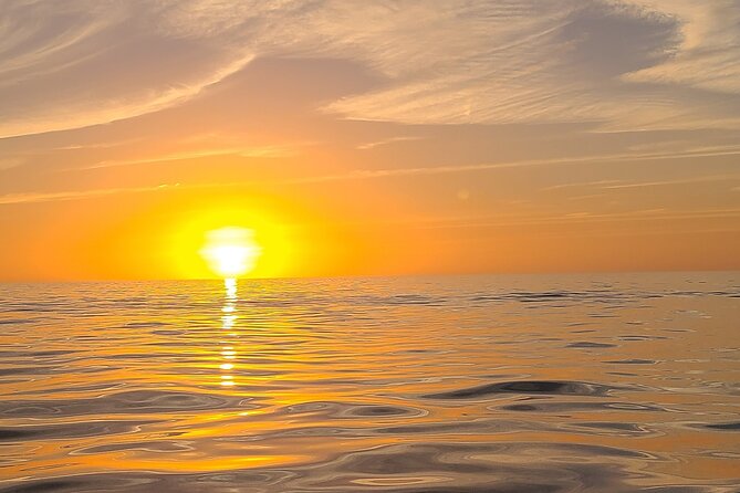 Sandbar, Beach, Dolphin Watching Cruise Sarasota, Florida - Bay Isle Sandbar and the Wildlife-Spotting Reality Check