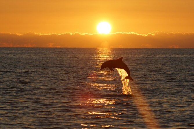 Sandestin Sunset Eco-Dolphin Cruise Aboard Sol y Luna - Comfort on Sol y Luna: Dress for Wind, Not Temperature