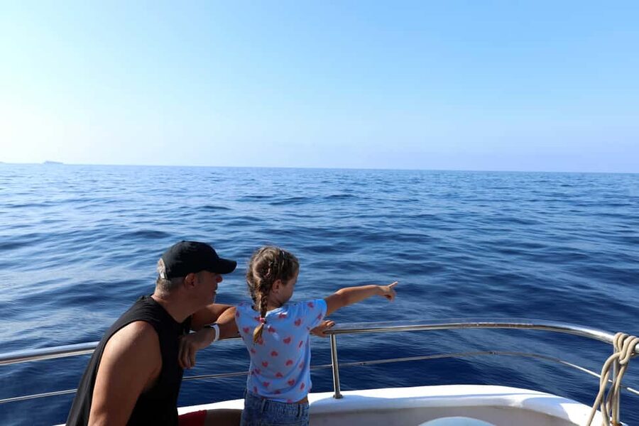 Santa Ponsa: Dolphin Watching Cruise - Who This Cruise Suits Best (and Who Might Want Another Option)