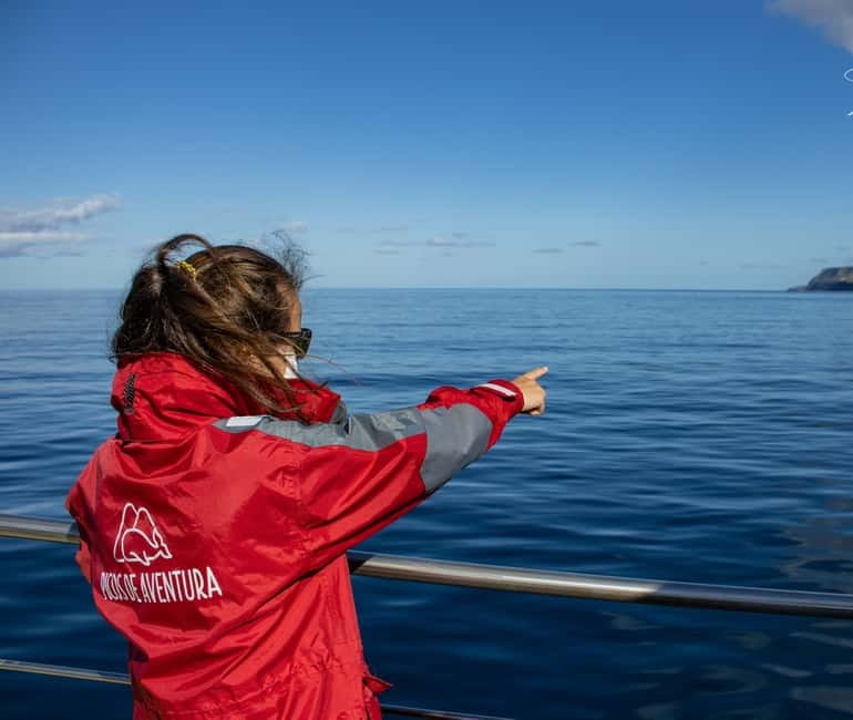 São Miguel: Wild Swimming with Dolphins - Best views and what makes the coastline part of the payoff