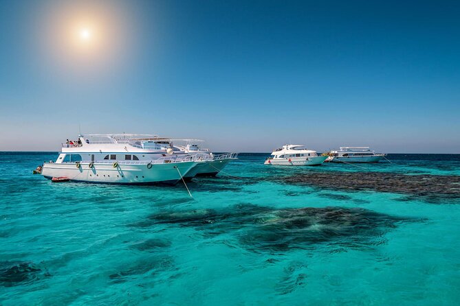 Sataya Dolphin House Boat Trip in Marsa Alam - From a 7:30 AM pickup to time on the water