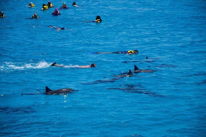 Sataya Dolphin House Boat Trip in Marsa Alam - Lunch and soft drinks onboard: simple comfort in the middle of the day