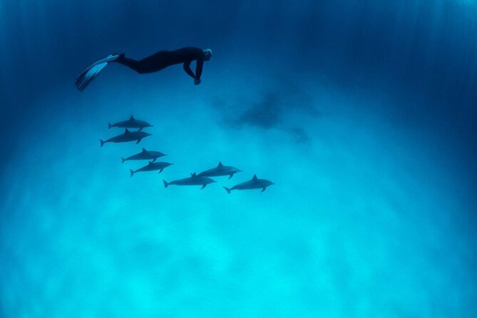 Sataya Dolphin House Boat Trip in Marsa Alam - Price and value: is $80 a fair deal for an 8-hour sea day?
