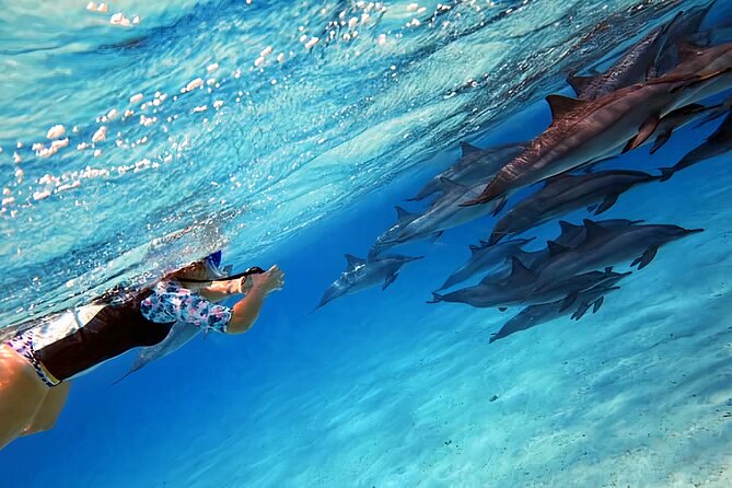 Sataya Dolphin House Snorkel Trip - Marsa Alam - Lunch onboard: one of the smartest parts of the day