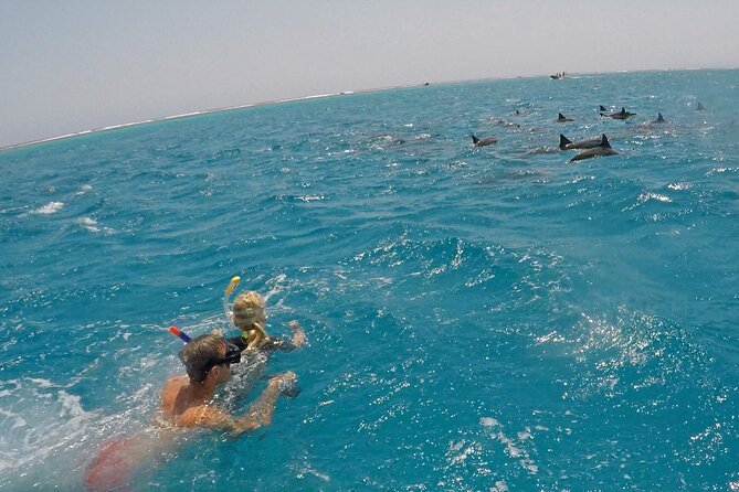 Sataya Dolphin House Snorkel Trip - Marsa Alam - What the day feels like on the water: boat, groups, and time on reefs