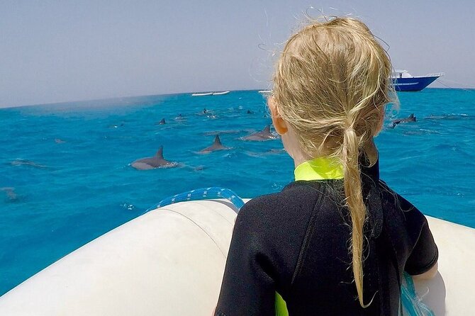 Sataya Dolphin House Snorkel Trip - Marsa Alam - The dolphin swim: briefing first, then controlled calm in open water