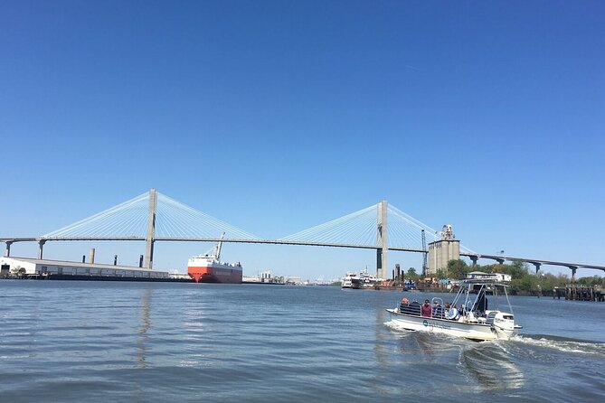 Savannah Coastal Dolphin Eco Tour - Key things I’d watch for on this Savannah dolphin cruise