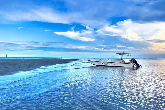 Savannah Coastal Dolphin Eco Tour - A Two-Hour Dolphin Cruise on the Intracoastal Waterway
