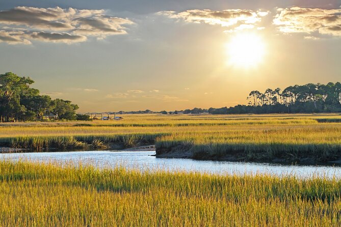Savannah Coastal Dolphin Eco Tour - From the Westin Dock to the Old Fort Jackson Look-By View
