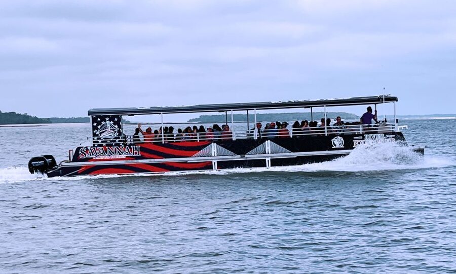 Savannah: Dolphin Spotting and Wildlife Eco Cruise - What You Get on Board: Restrooms, Shade, and the BYOB Setup