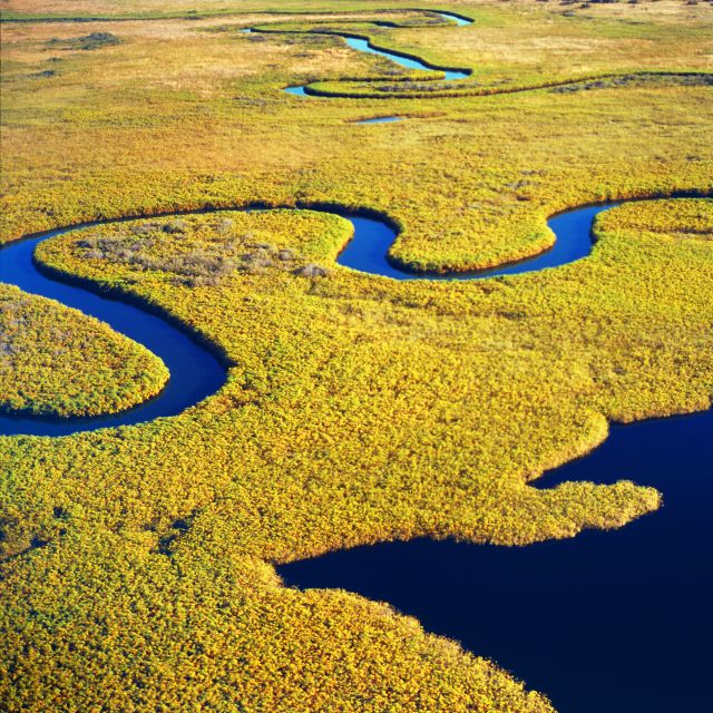 Savannah: Dolphin Spotting and Wildlife Eco Cruise - Best Fit: Who Should Book (and Who Might Prefer Something Else)