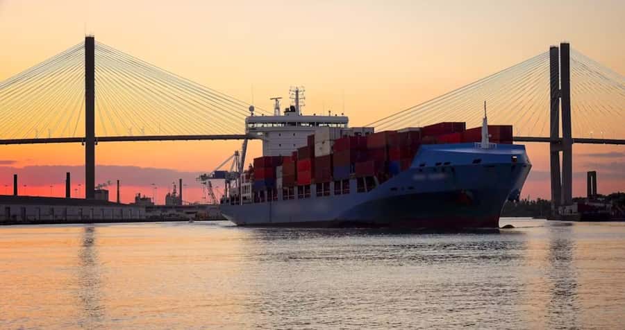 Savannah: Sunset Dolphin Watching Eco Tour by Boat - Key highlights to know before you go
