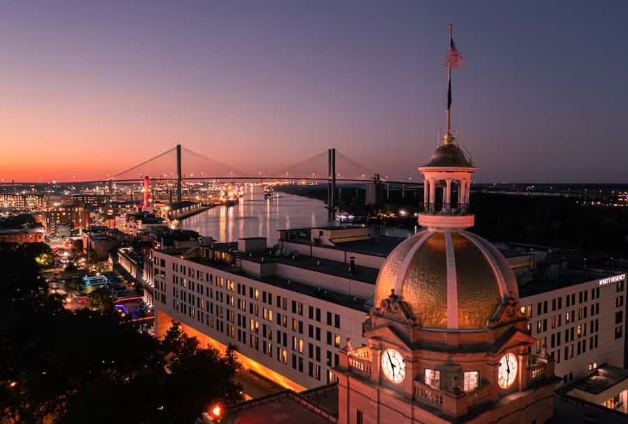 Savannah: Sunset Dolphin Watching Eco Tour by Boat - Dolphins, Birds, and the Lowcountry Ecosystem From the Water