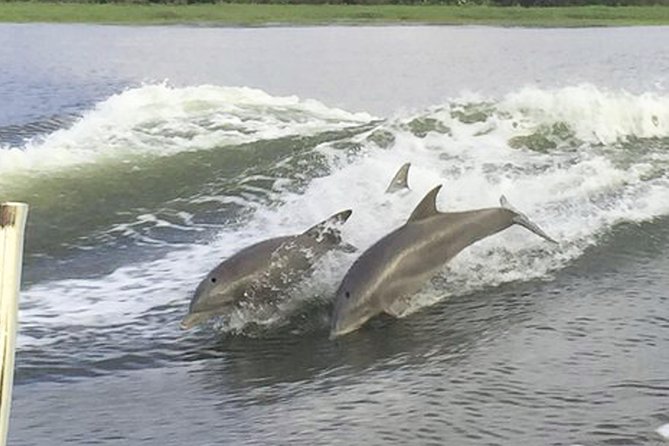 Savannah to Tybee Island with Dolphin Cruise - Price and Value: Is $73.83 a Good Deal?