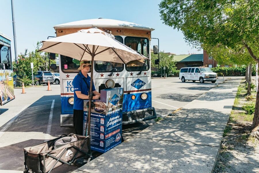 Savannah: Tybee Island Dolphin Tour - Guides and crew: why the day runs smoother than it sounds