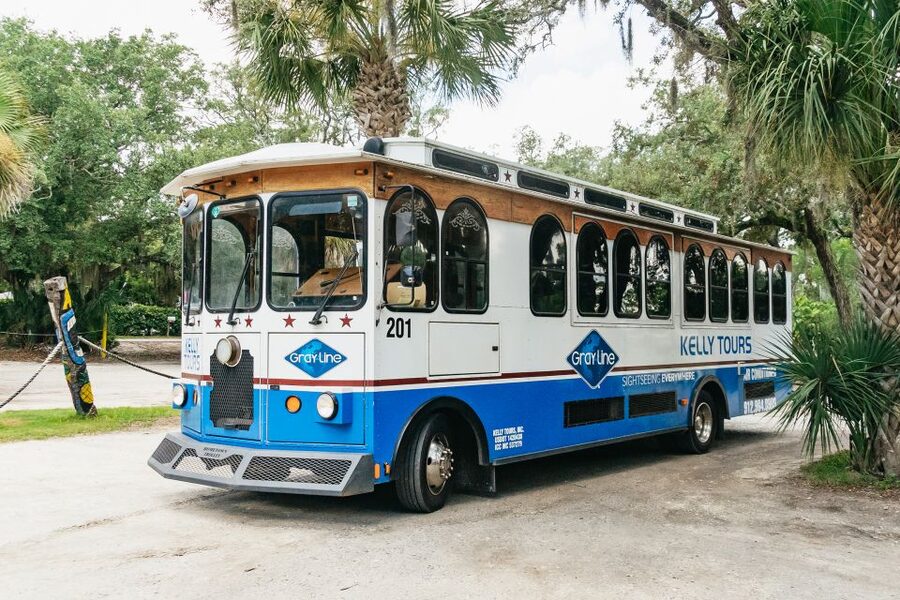 Savannah: Tybee Island Dolphin Tour - Value check: does $74 make sense for what you get?