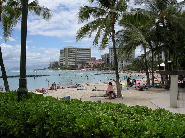 Sea Safari, Dolphins, Turtles and Waikiki Cruise - Key things to know before you go