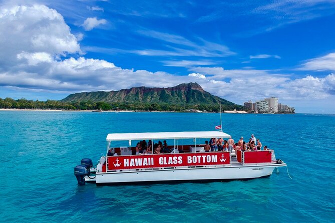 Sea Safari, Dolphins, Turtles and Waikiki Cruise - The Haleiwa Queen catamaran: stable ride, clear views, no swimming