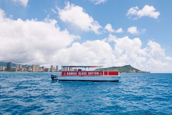 Sea Safari, Dolphins, Turtles and Waikiki Cruise - Wildlife expectations: dolphins, turtles, and whales are a gamble