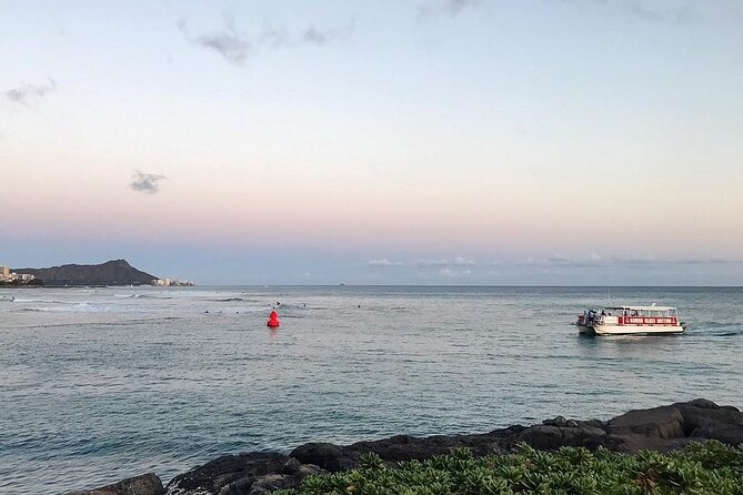 Sea Safari, Dolphins, Turtles and Waikiki Cruise - Stop-by-stop: what happens at Kewalo Basin and the Waikiki Beach stretch