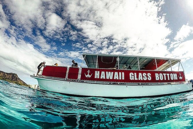 Sea Safari, Dolphins, Turtles and Waikiki Cruise - Waikiki from the water: the view payoff is real