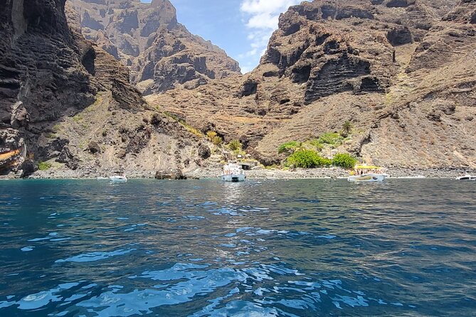 SEA SAFARI Dolphins, Whales, 3h speedboat DISCOVERY-TOUR - A 3-Hour Speedboat Safari Starting at Puerto Colón