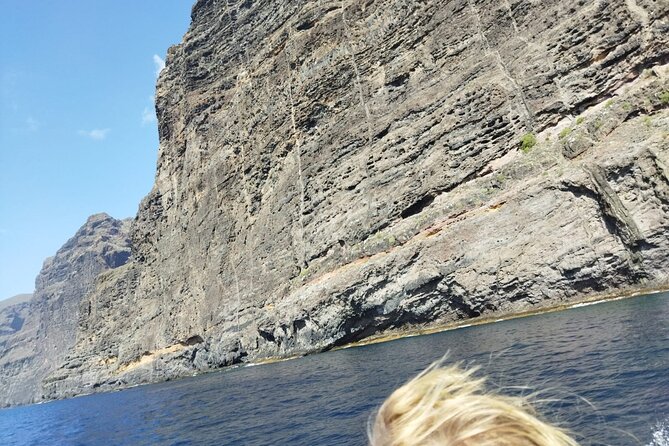 SEA SAFARI Dolphins, Whales, 3h speedboat DISCOVERY-TOUR - The BladeFish Underwater Propulsion Try-Out (And Why It’s Fun)