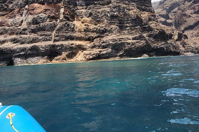 SEA SAFARI Dolphins, Whales, 3h speedboat DISCOVERY-TOUR - How to Think About Comfort and Weather