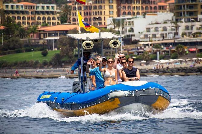 SEA SAFARI, Dolphins, Whales, snorkeling, snack and drink, 2 h speedboat - Where You Start in Costa Adeje (Av. de Colón, 125)