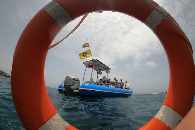 SEA SAFARI, Dolphins, Whales, snorkeling, snack and drink, 2 h speedboat - Whale and Dolphin Spotting: How to Get the Most Out of the Scans