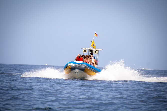SEA SAFARI Dolphins,Whales, snorkeling, snack, drink, 3h private - Key things that make this Tenerife safari a smart pick